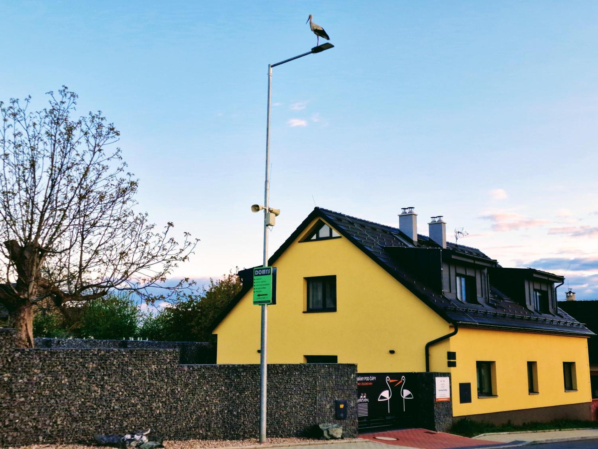 Apartmany Pod Capy, Nasavrky Zewnętrze zdjęcie